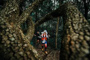 BIB: 
                            <button type="button" onclick="openModal(25674163)" class="btn btn-primary btn-sm float-right btn-popup" data-toggle="modal" data-target=".modal-high-quality">
                        <i class="fas fa-shopping-cart"></i> Add to Cart
                    </button>
                                            <button type="button" onclick="isThisMe(25674163, true)" class="btn btn-success btn-sm float-right btn-popup btn-isme hidden" data-toggle="tooltip" data-placement="bottom" title="นี่คือรูปของคุณใช่ไหม คลิกที่นี่เพื่อเอาเข้าอัลบั้ม">
                        <i class="fas fa-plus"></i> Add to album
                    </button>
                    <button type="button" onclick="isThisMe(25674163, false)" class="btn btn-warning btn-sm float-right btn-popup btn-isnotme hidden">
                        <i class="fas fa-ban"></i> Remove from album
                    </button>